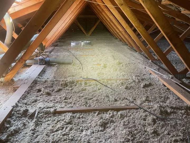 Cellulose insulation installed across a ceiling with hoses and roof-space framing visible.